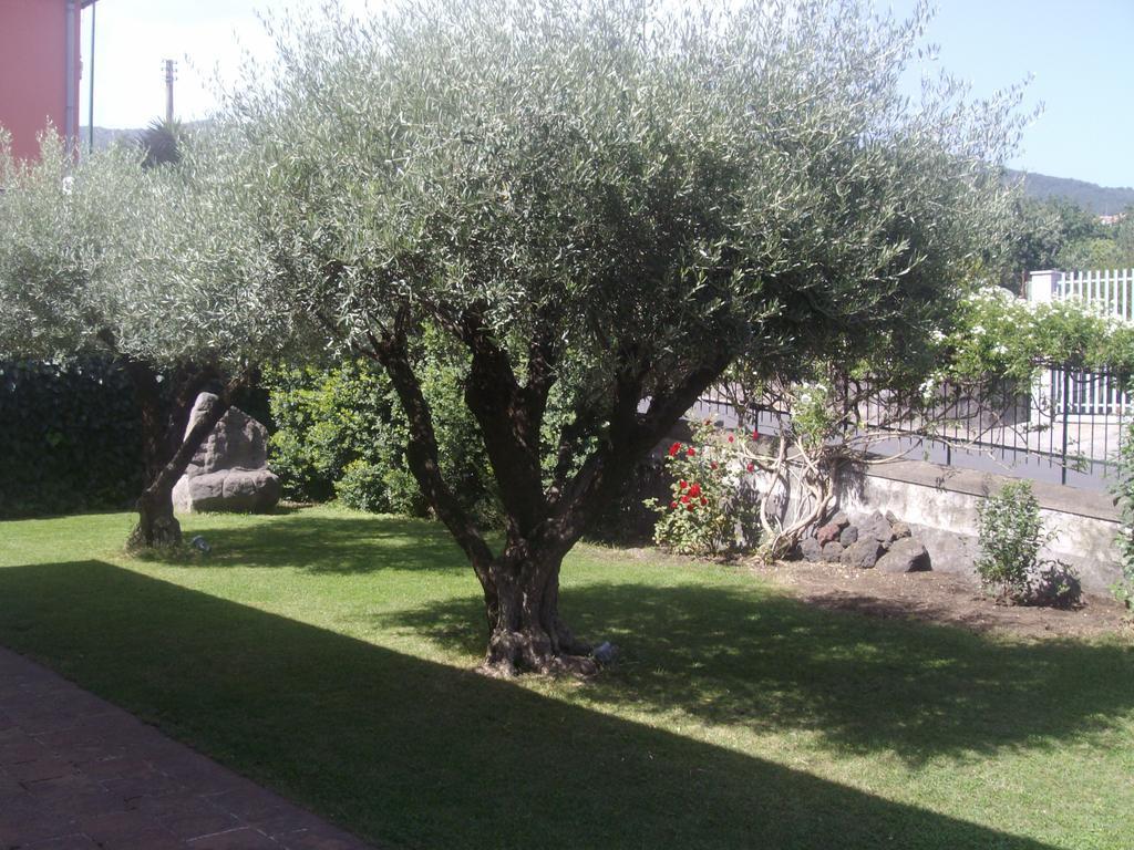 Scatitti House Βίλα Zafferana Etnea Δωμάτιο φωτογραφία
